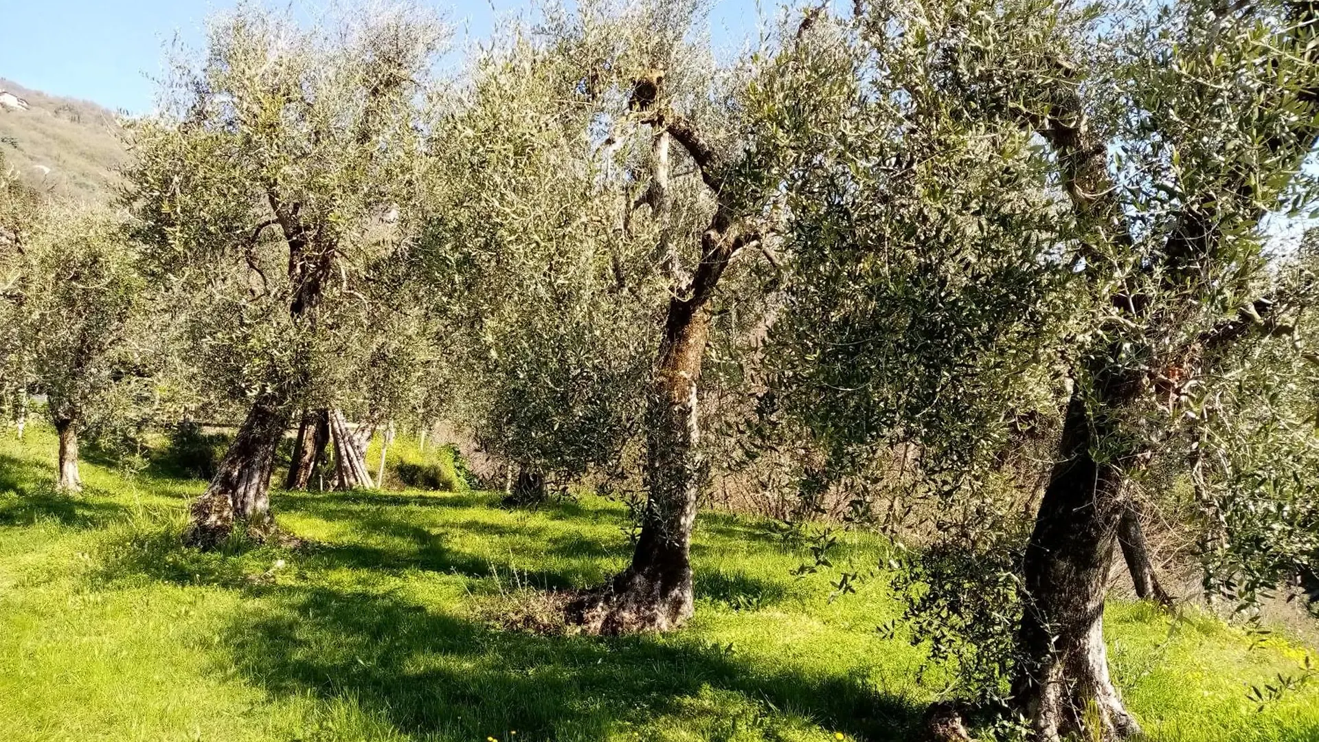 Vakantiehuis Dolce Luna Gargnano